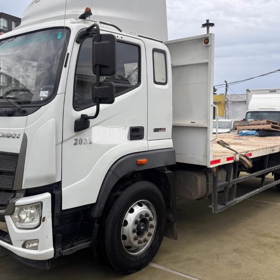 Alternative view of Foton Auman 2023